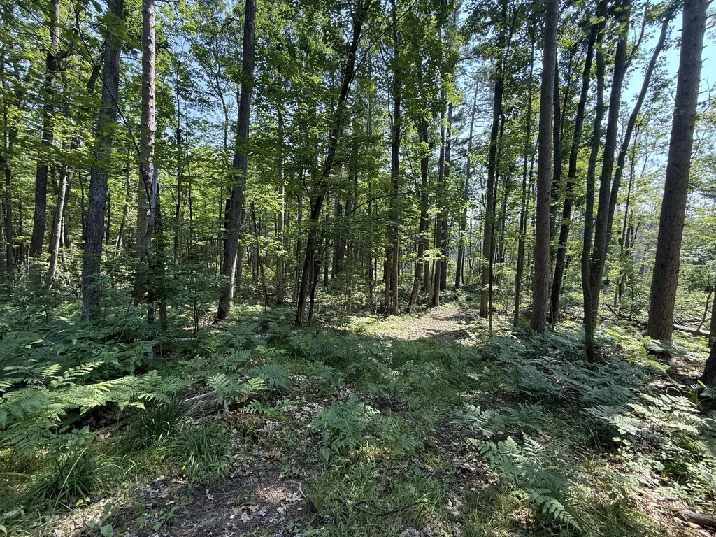 18910 Ellis Lane Hillman Township MI 49746