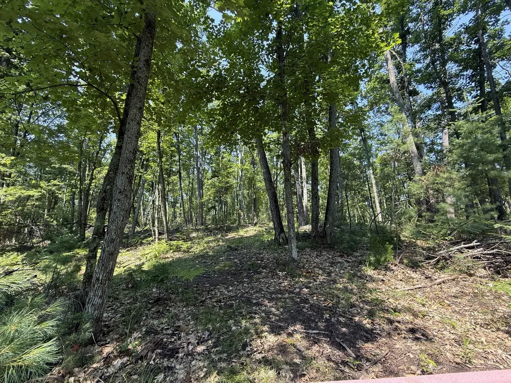 18910 Ellis Lane Hillman Township MI 49746