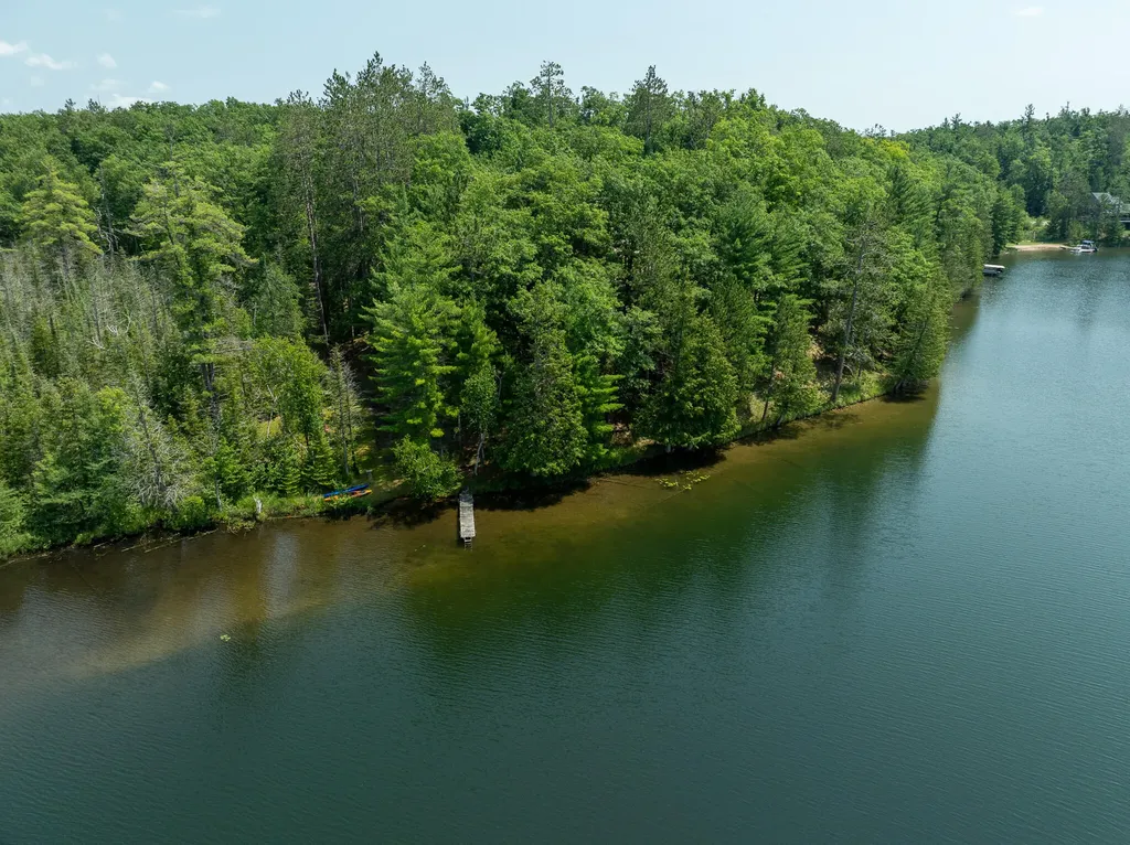 18910 Ellis Lane Hillman Township MI 49746