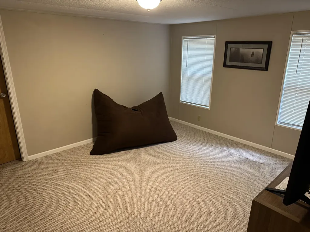 7884 S Spruce Avenue Brooks Township MI 49337