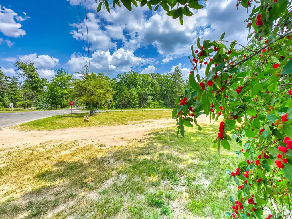 3973 E 3 Mile Road Newkirk Township MI 49656