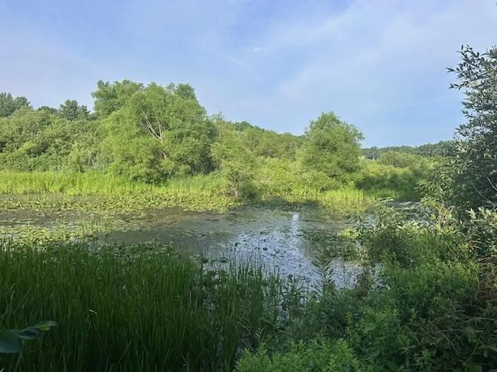 18480 12 Mile Road Big Rapids Charter Township MI 49307