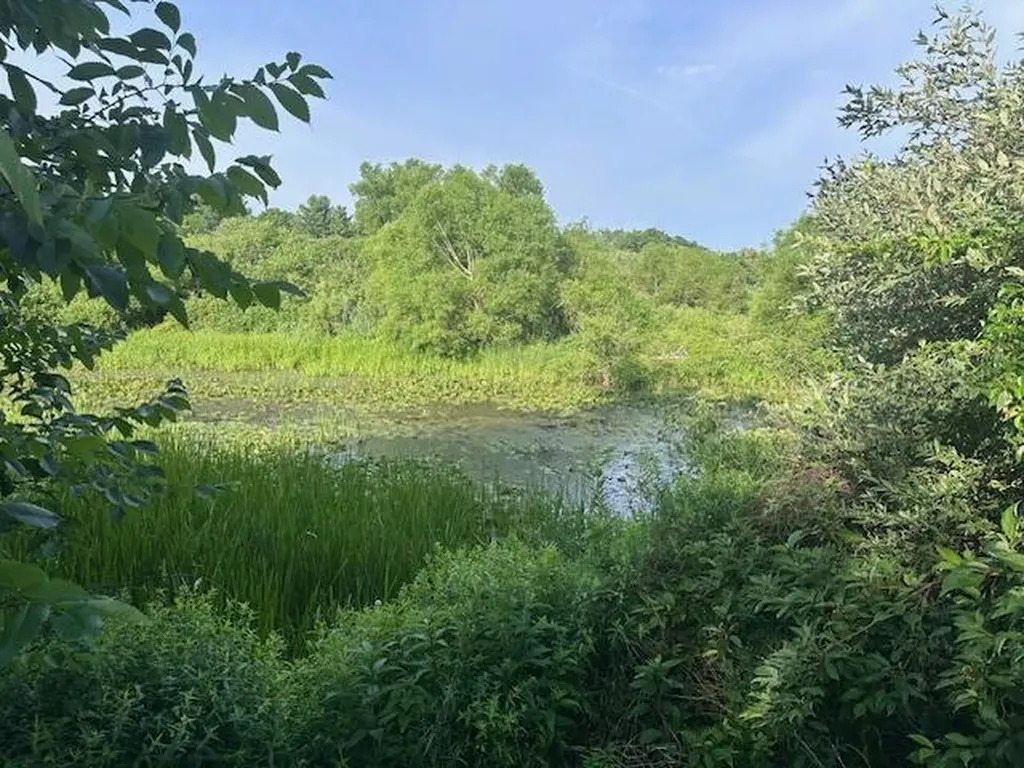 18480 12 Mile Road Big Rapids Charter Township MI 49307