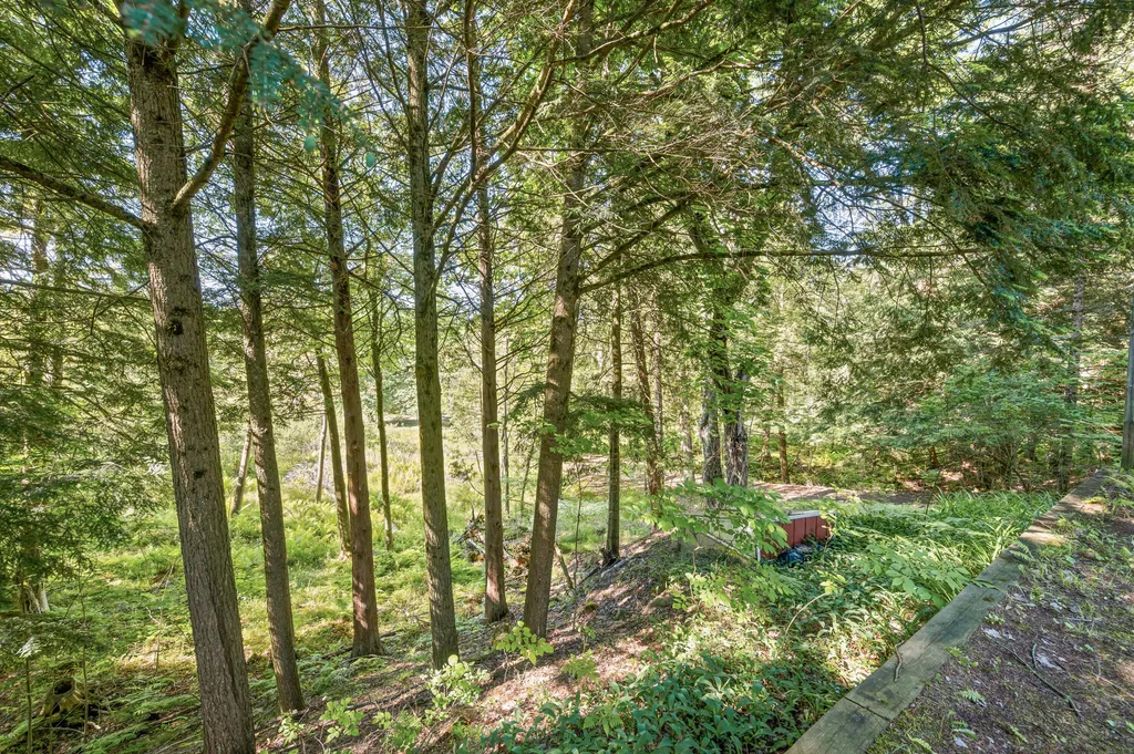 16655 Roaring Brook Drive Hersey Township MI 49639