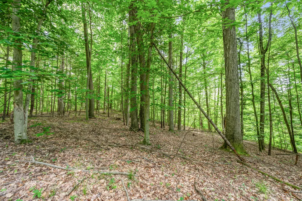 756 N Cottonwood Avenue Goodwell Township MI 49349