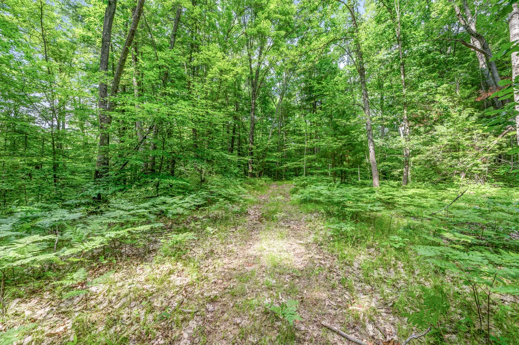 756 N Cottonwood Avenue Goodwell Township MI 49349