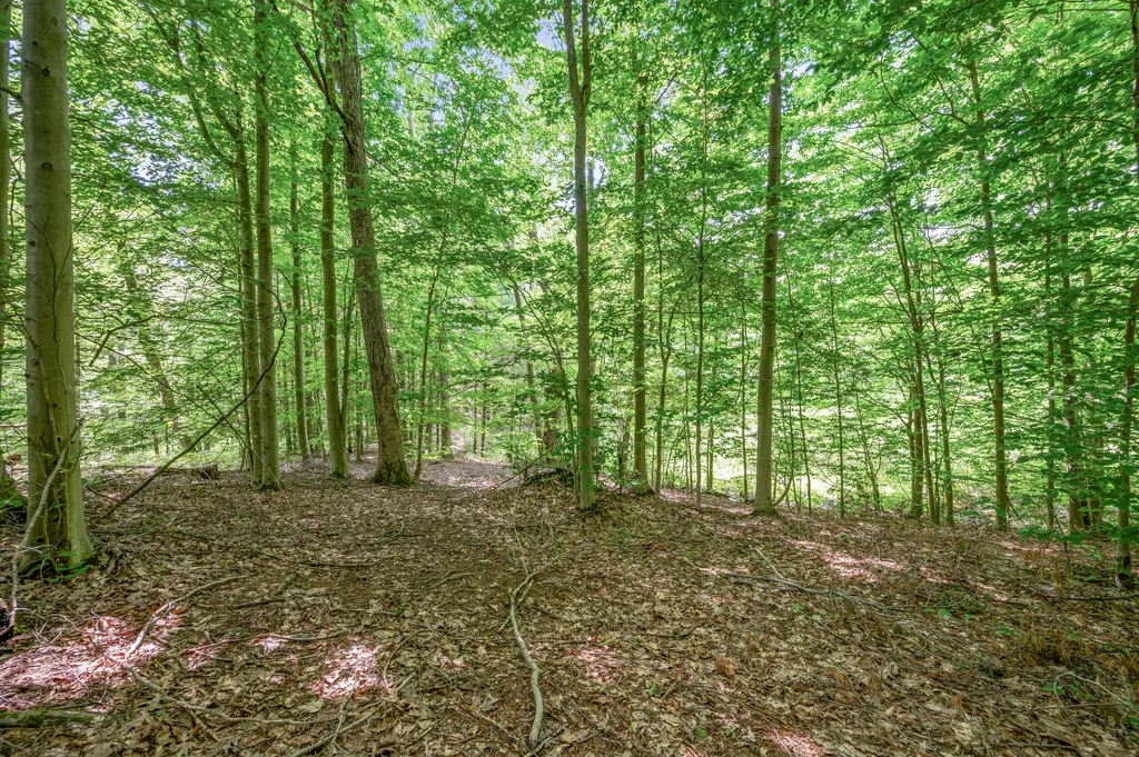 756 N Cottonwood Avenue Goodwell Township MI 49349