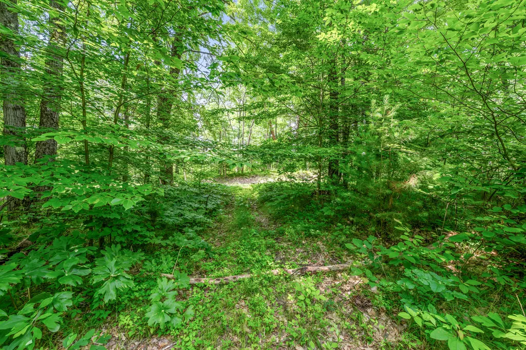 756 N Cottonwood Avenue Goodwell Township MI 49349