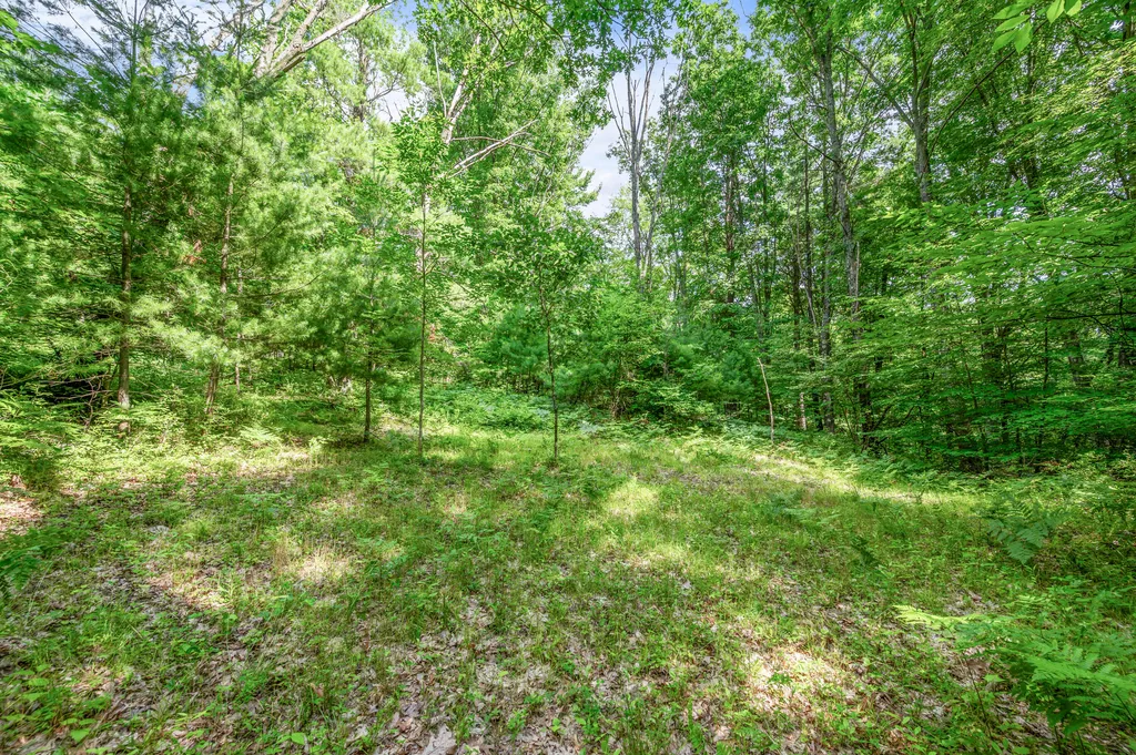 756 N Cottonwood Avenue Goodwell Township MI 49349