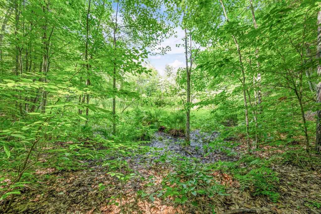 756 N Cottonwood Avenue Goodwell Township MI 49349