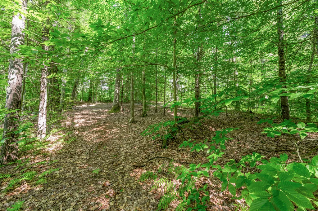 756 N Cottonwood Avenue Goodwell Township MI 49349