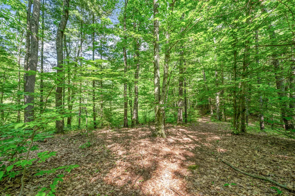 756 N Cottonwood Avenue Goodwell Township MI 49349