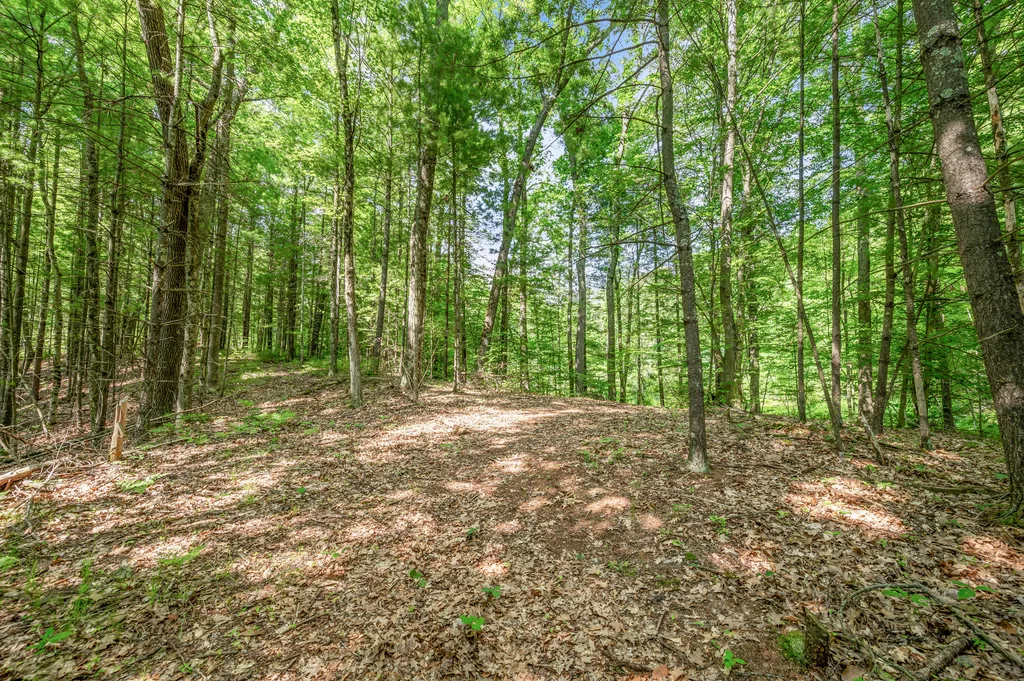 756 N Cottonwood Avenue Goodwell Township MI 49349