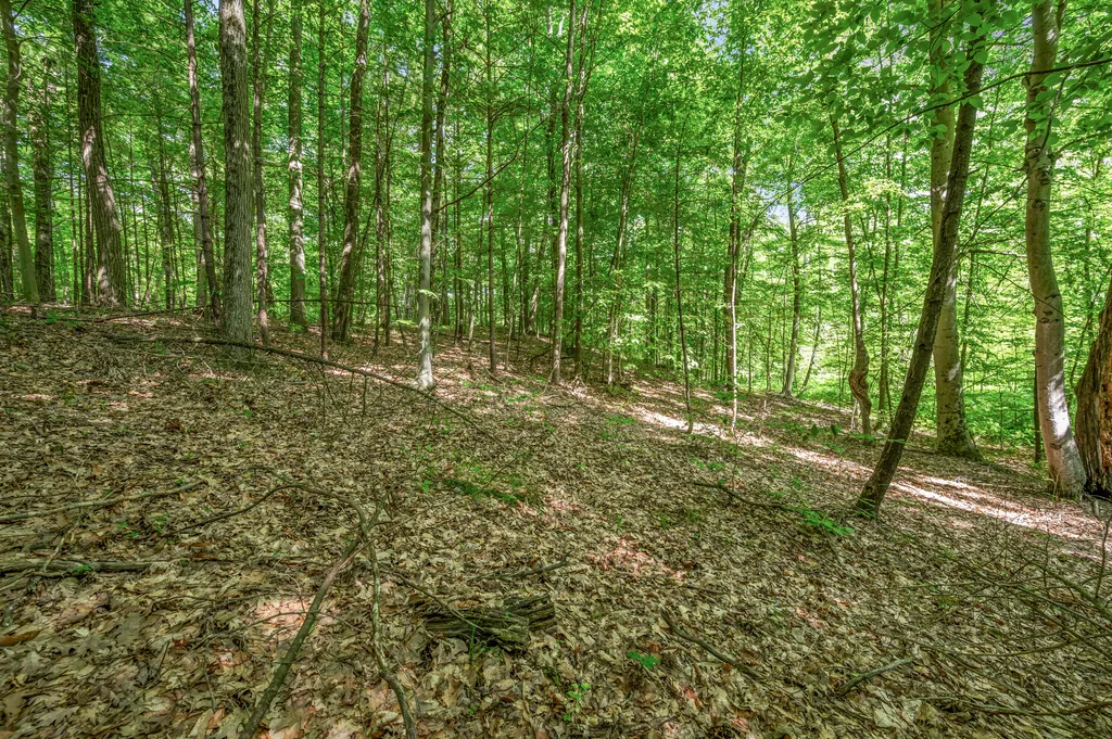 756 N Cottonwood Avenue Goodwell Township MI 49349