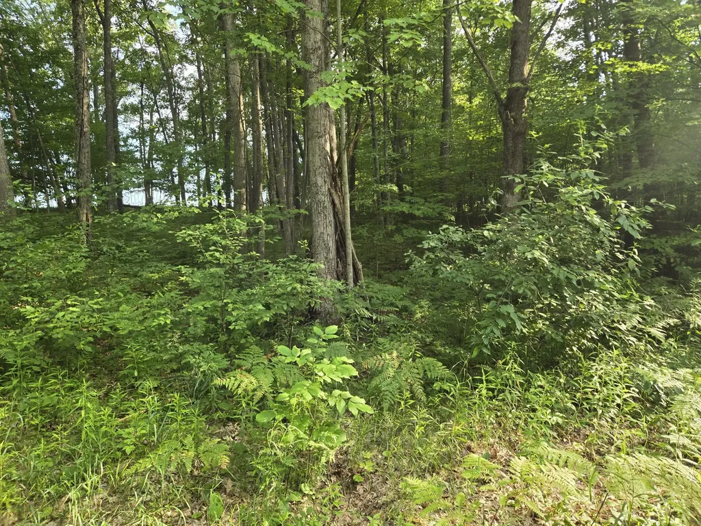 8207 N Hunters Ridge Drive Unknown City MI 49644