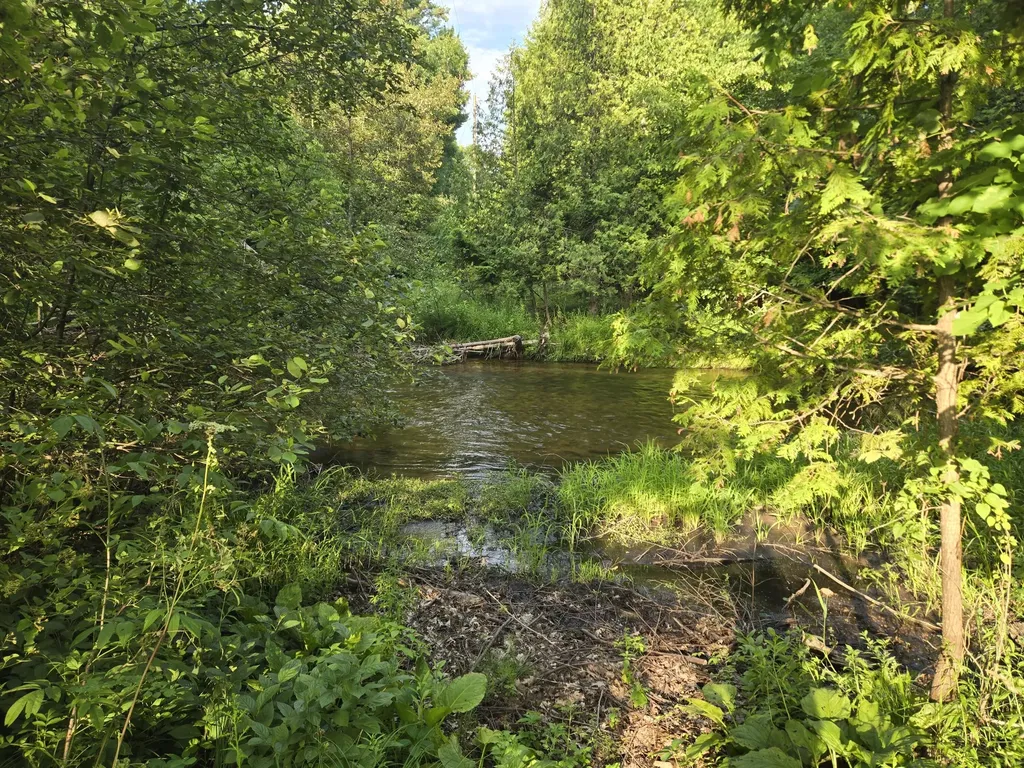 8207 N Hunters Ridge Drive Unknown City MI 49644