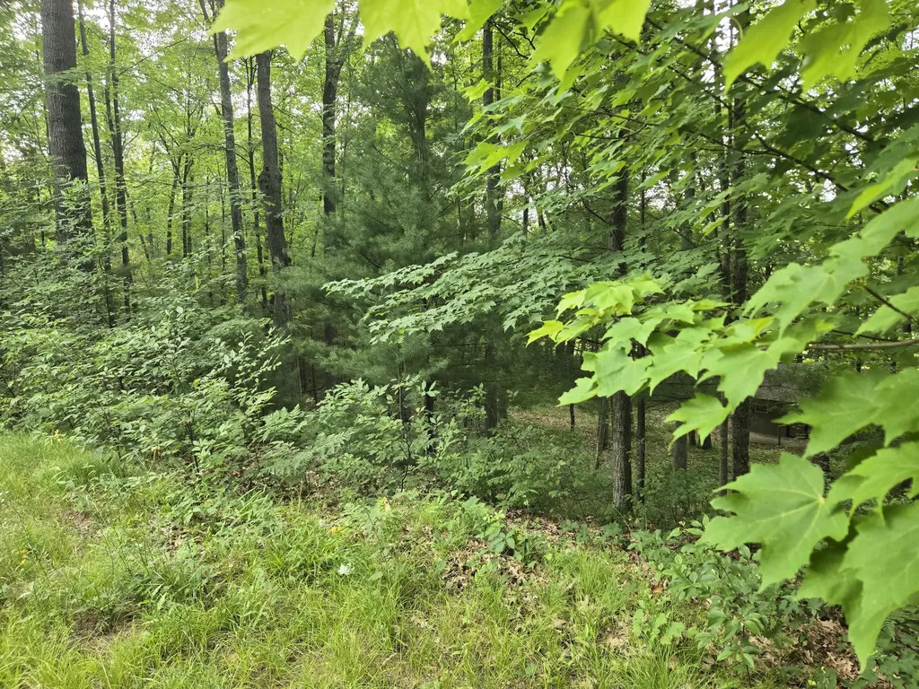 8207 N Hunters Ridge Drive Unknown City MI 49644