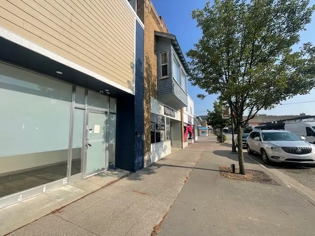 208 S Michigan Avenue Big Rapids Charter Township MI 49307