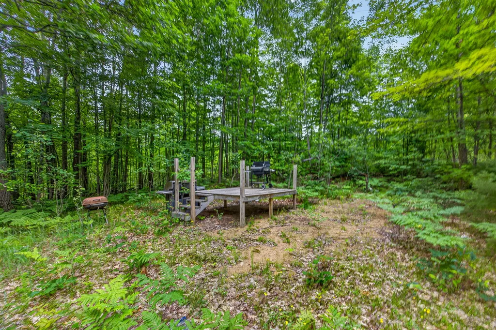 0 S 47 3/4 Road Haring Charter Township MI 49601