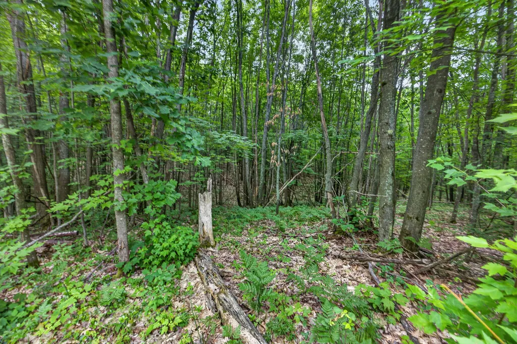 0 S 47 3/4 Road Haring Charter Township MI 49601