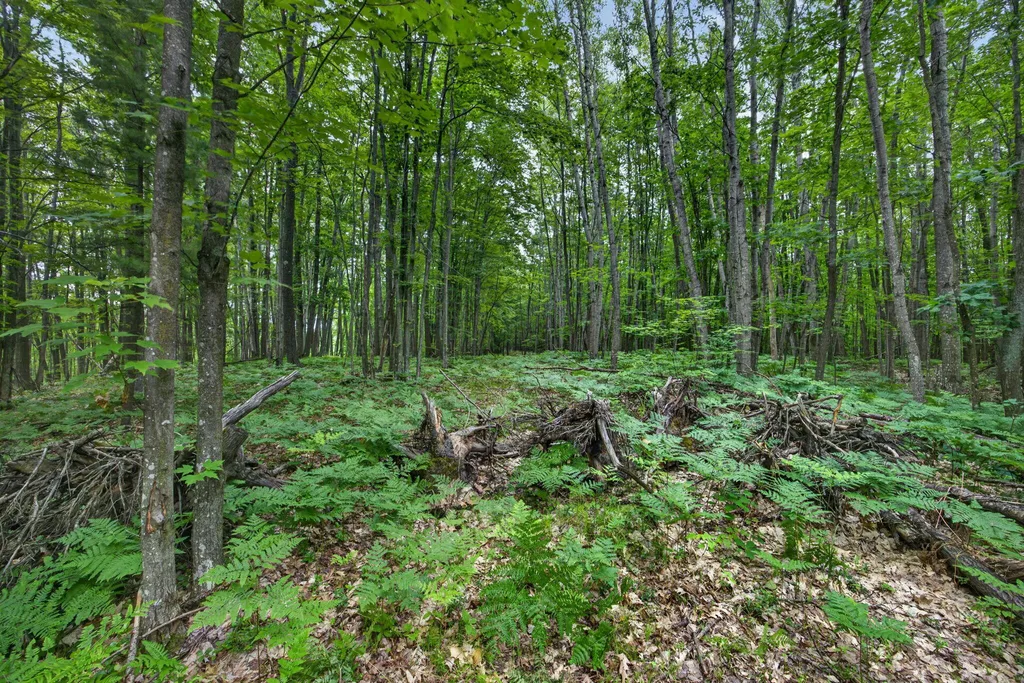 0 S 47 3/4 Road Haring Charter Township MI 49601