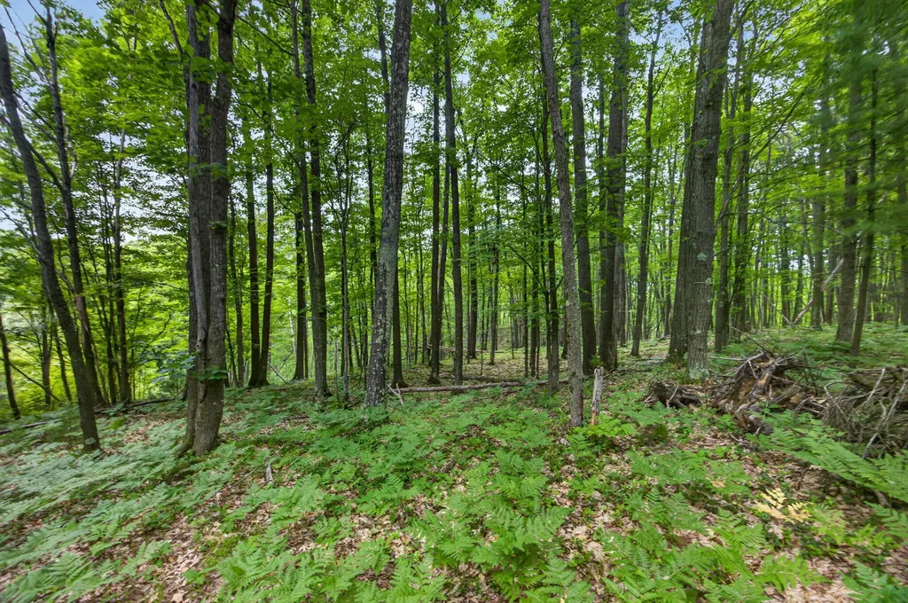 0 S 47 3/4 Road Haring Charter Township MI 49601