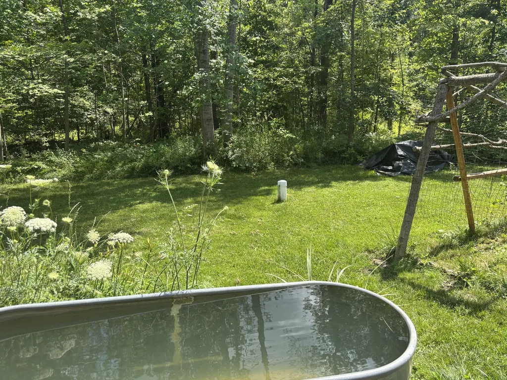 18309 Johnson Road Mecosta Township MI 49346