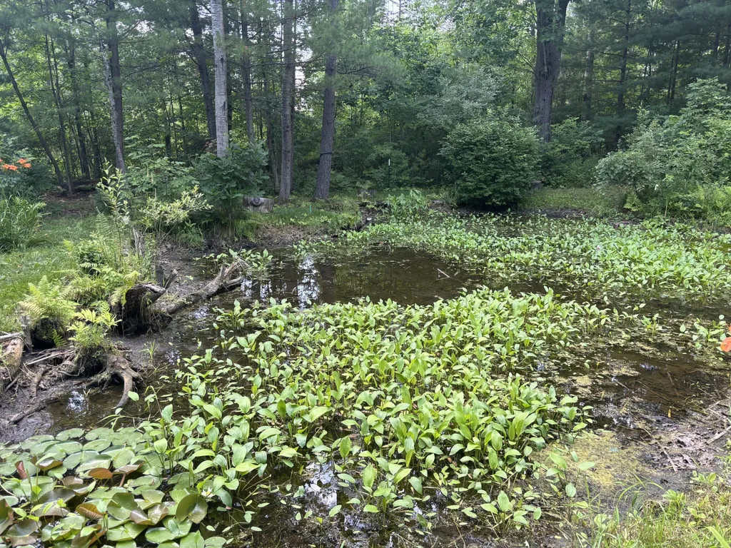 18309 Johnson Road Mecosta Township MI 49346