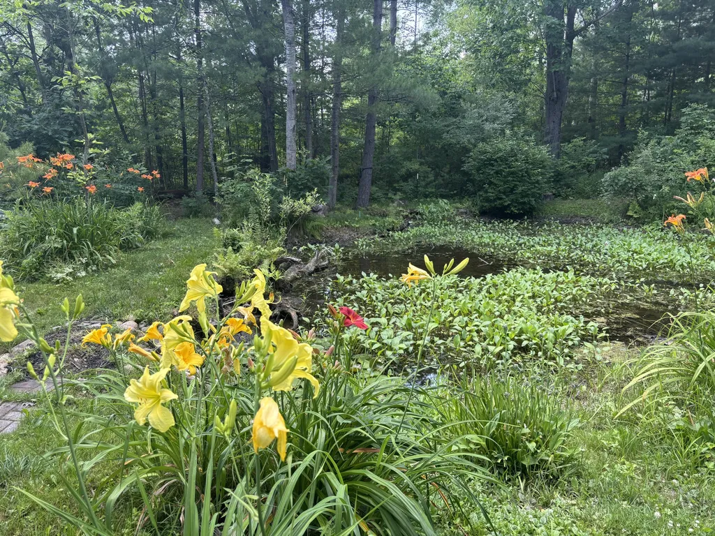 18309 Johnson Road Mecosta Township MI 49346