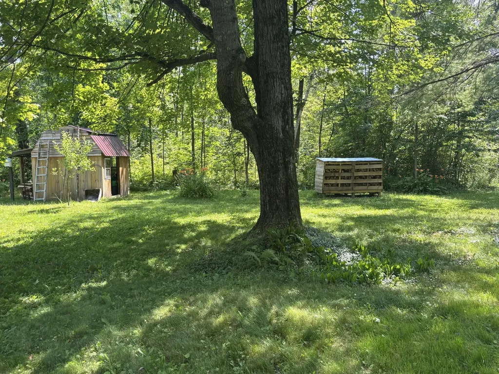 18309 Johnson Road Mecosta Township MI 49346