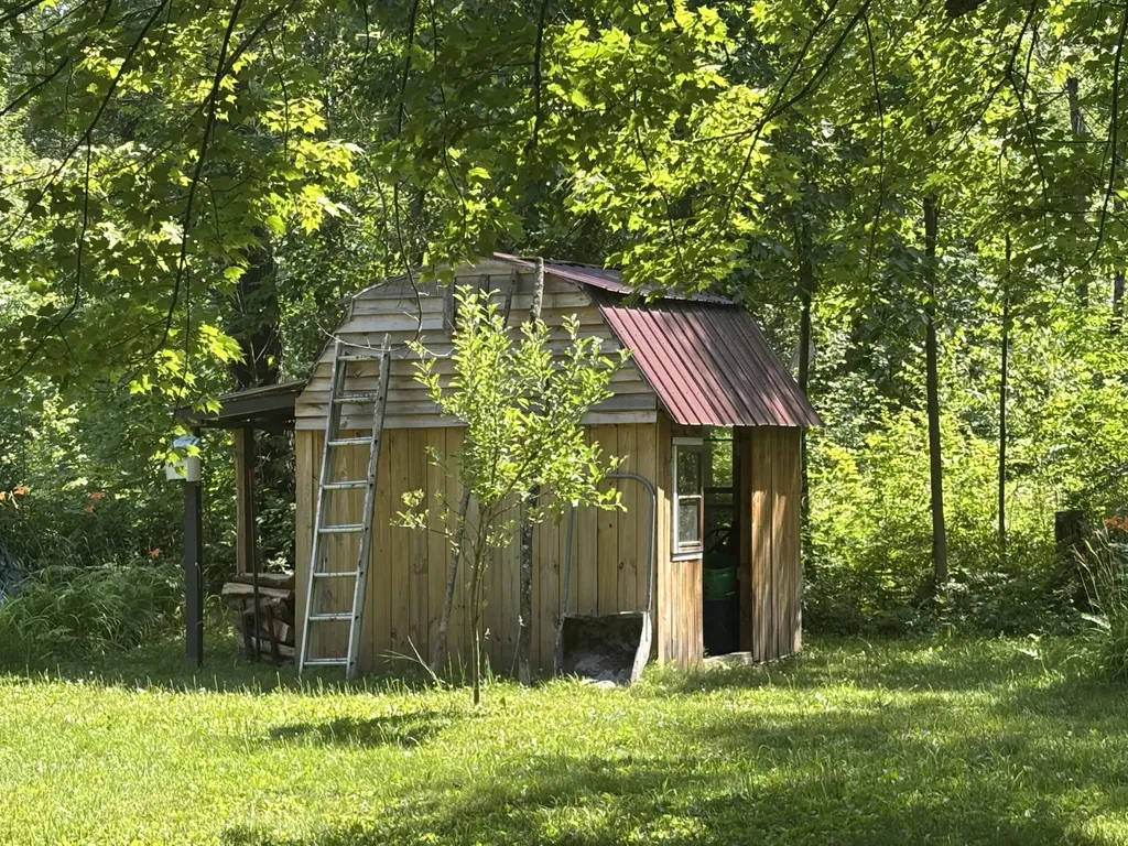 18309 Johnson Road Mecosta Township MI 49346