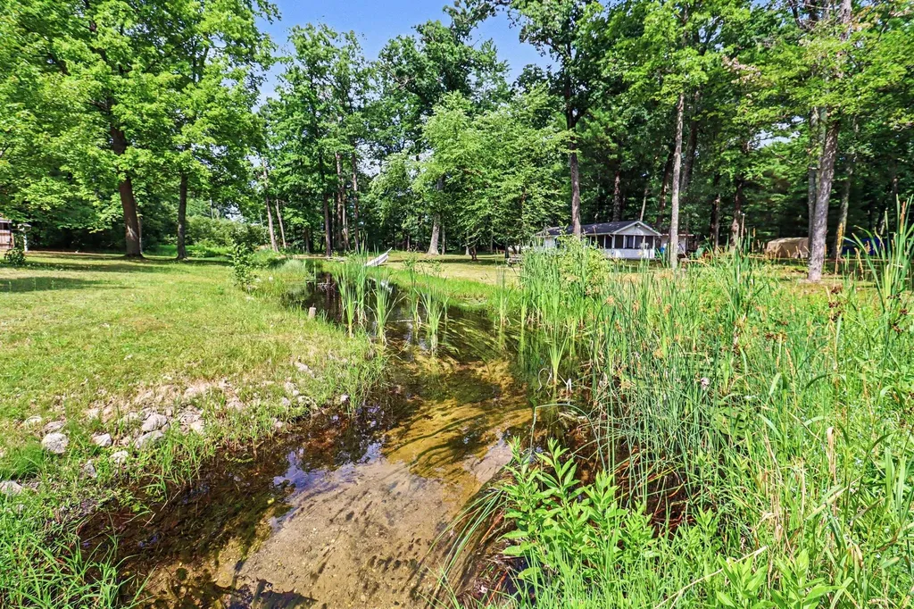 1321 W Channel Drive Lilley Township MI 49309