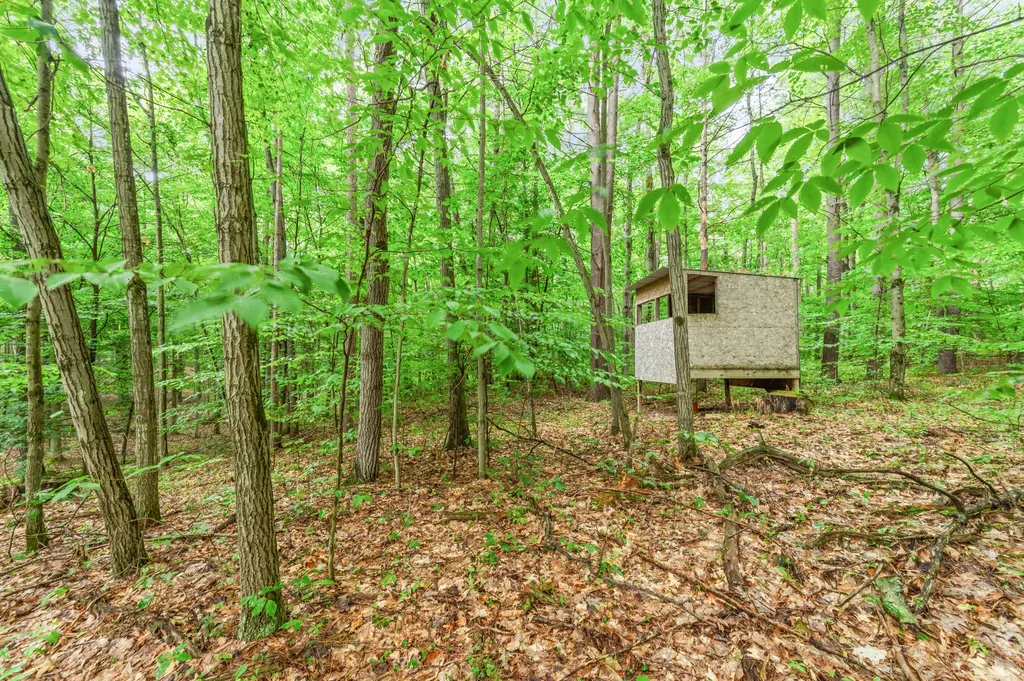 7975 110th Avenue Osceola Township MI 49631