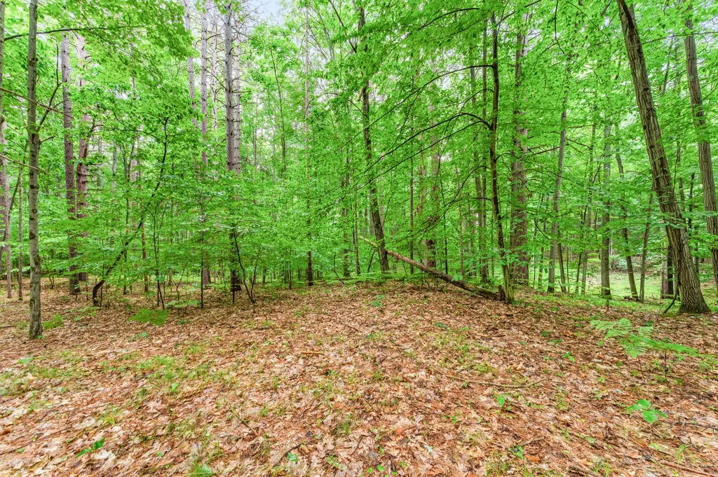 7975 110th Avenue Osceola Township MI 49631
