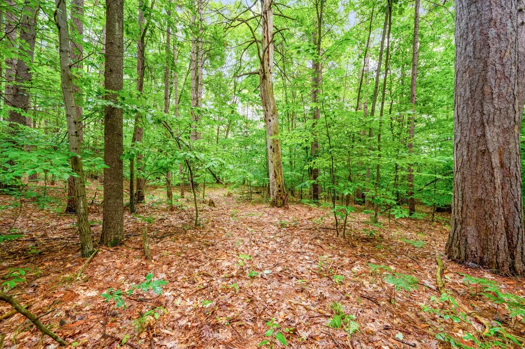 7975 110th Avenue Osceola Township MI 49631
