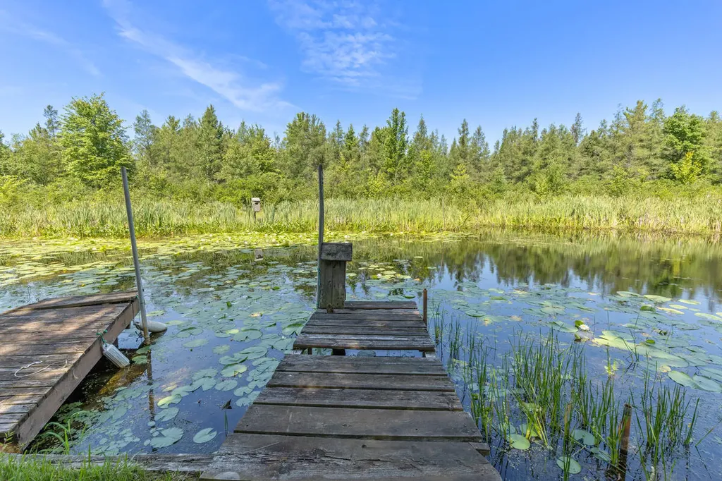 22713 Pogy Lake Drive Chippewa Township MI 49631