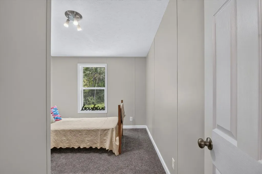 1105 Fisk Drive Aetna Township MI 49336