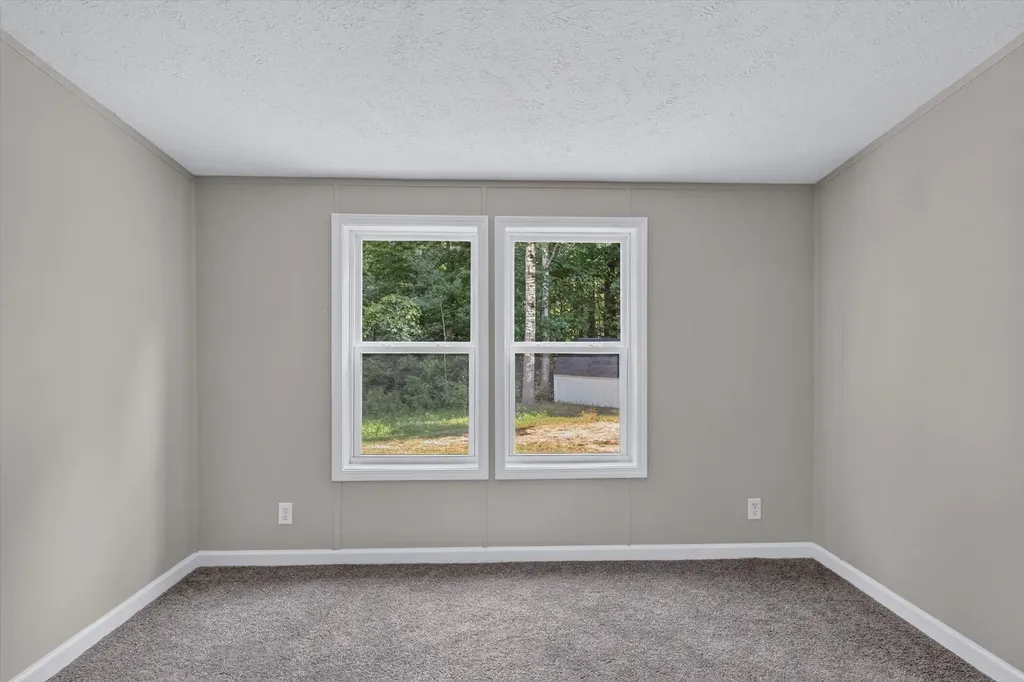 1105 Fisk Drive Aetna Township MI 49336