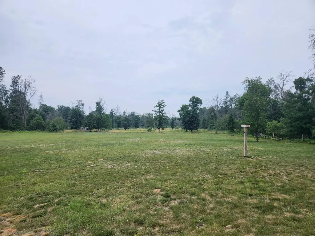 2368 E 10 Mile Road Newkirk Township MI 49644
