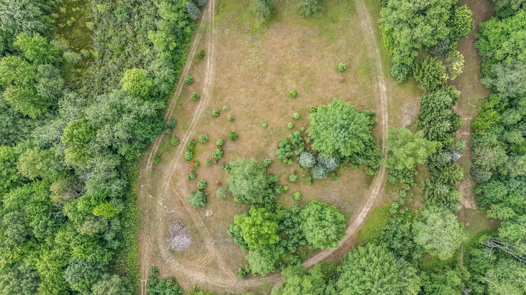 20290 11 Mile Road Lincoln Township MI 49655