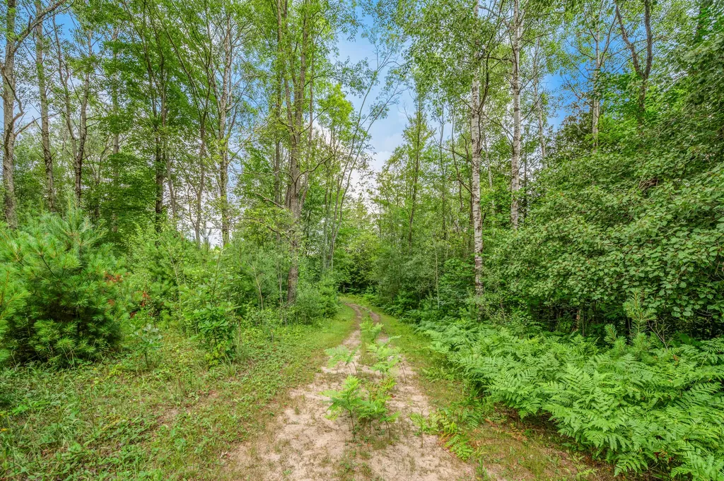 20290 11 Mile Road Lincoln Township MI 49655