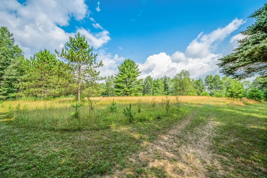 20290 11 Mile Road Lincoln Township MI 49655