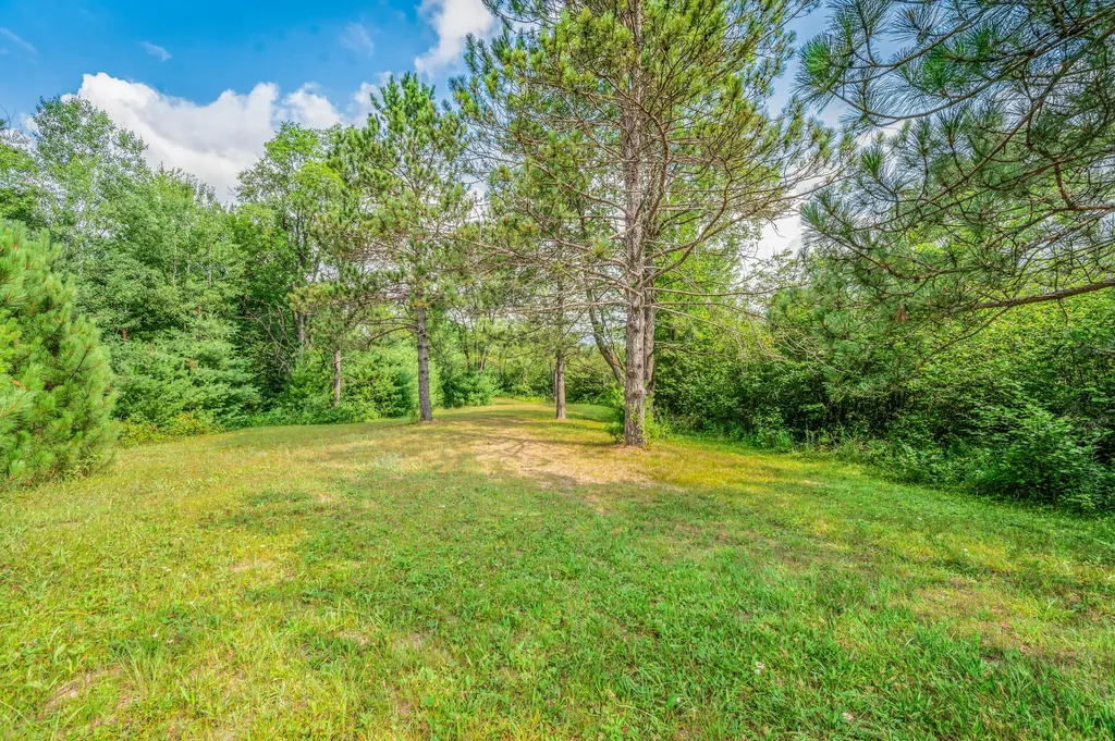 20290 11 Mile Road Lincoln Township MI 49655
