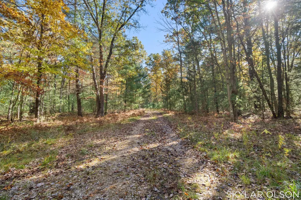 10711 N Tuttle Road Unknown City MI 49411