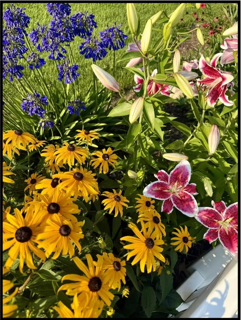 17711 Cobblefield Lane Spring Lake Township MI 49456