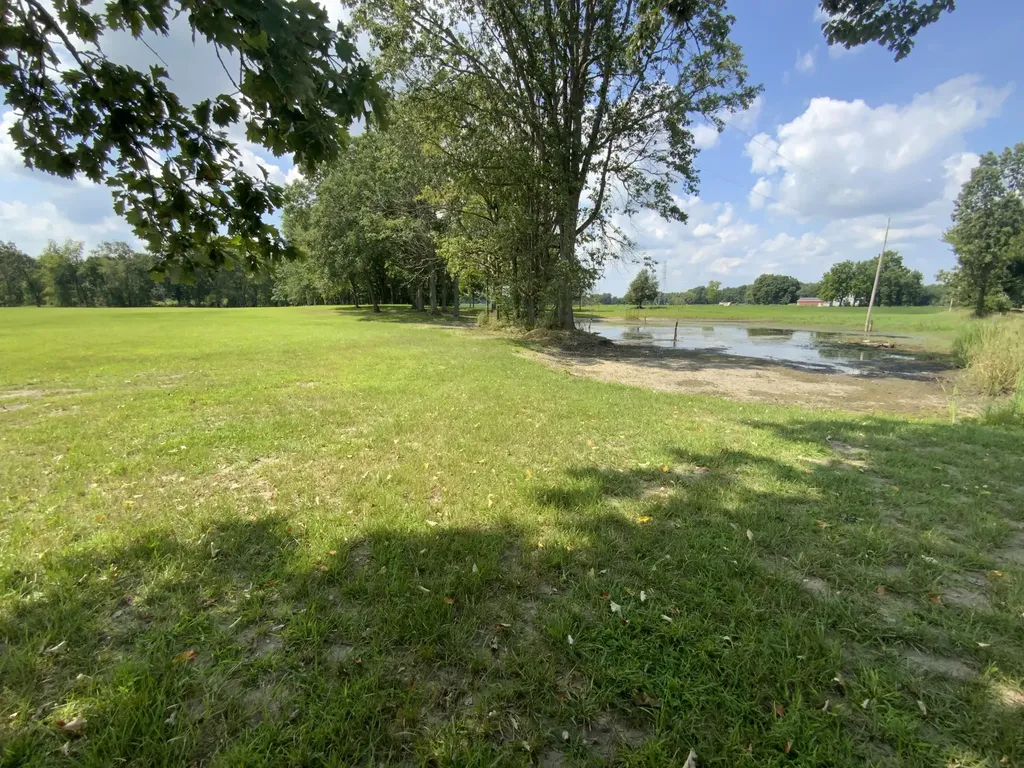 4350 Bailey Road Sandstone Township MI 49201