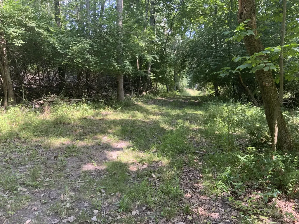 4350 Bailey Road Sandstone Township MI 49201