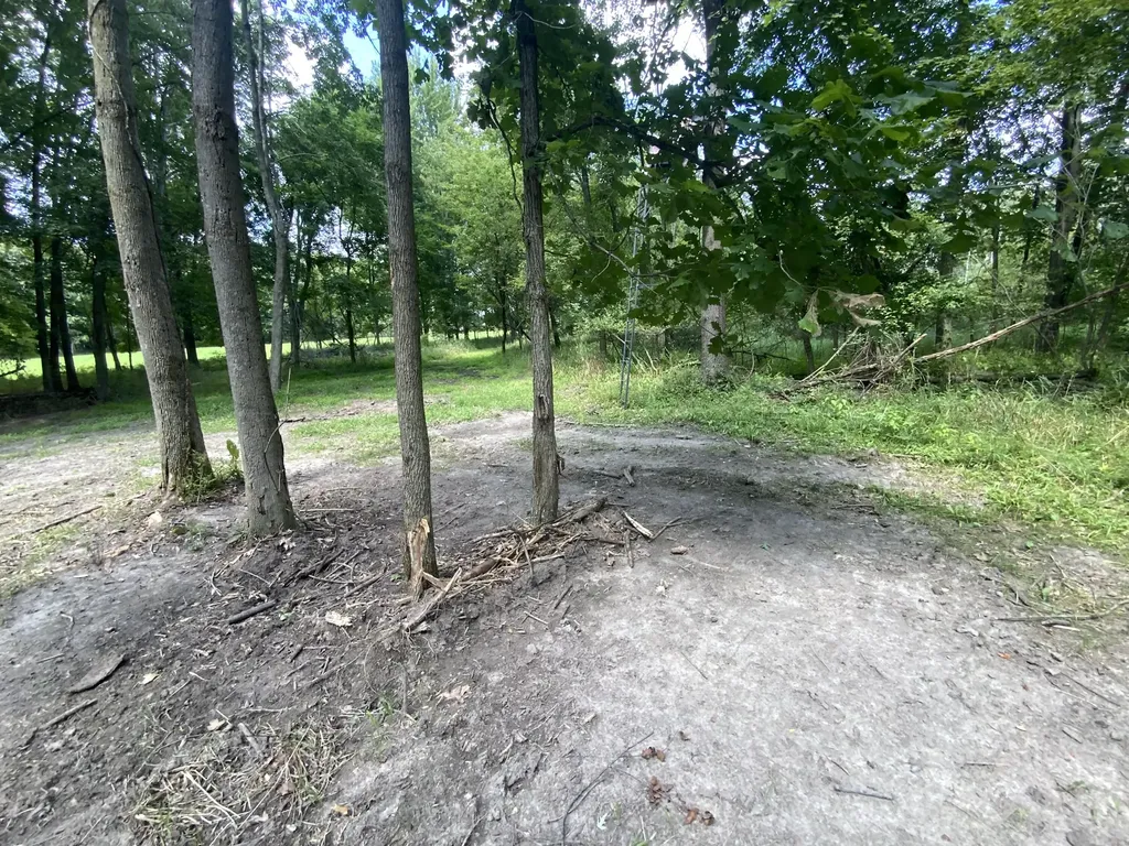 4350 Bailey Road Sandstone Township MI 49201