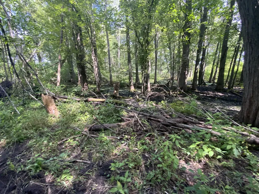 4350 Bailey Road Sandstone Township MI 49201