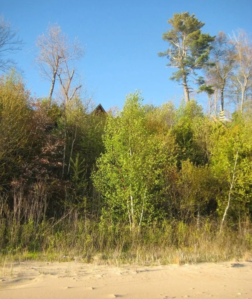 4231 Wildwood Lane Moran Township MI 49760